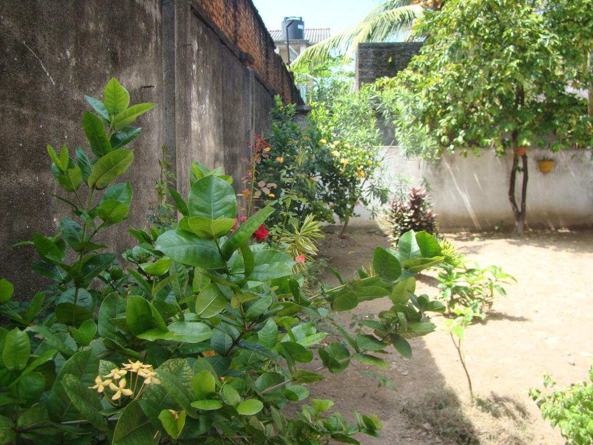 Moragalla Dilu Villa ベールワラ エクステリア 写真