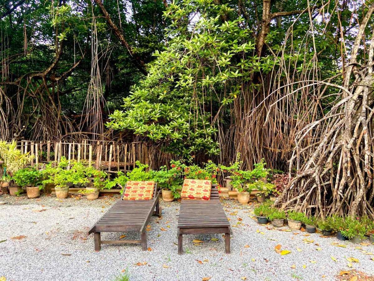 Moragalla Dilu Villa ベールワラ エクステリア 写真